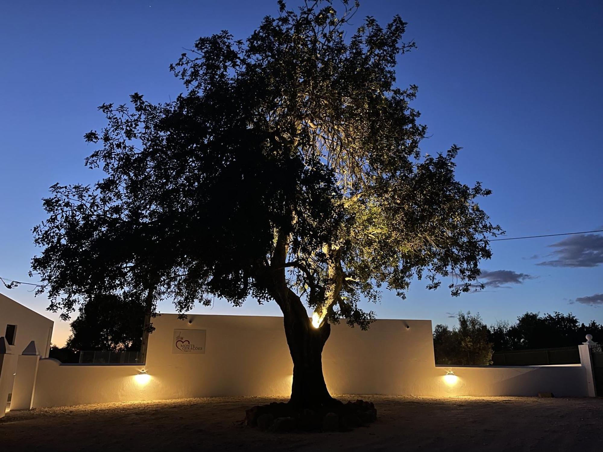 Monte Geracoes - Heated Pool - Typical Algarvian - Close To Quinta Lago, Vale Lobo And Vilamoura Almancil Exterior photo